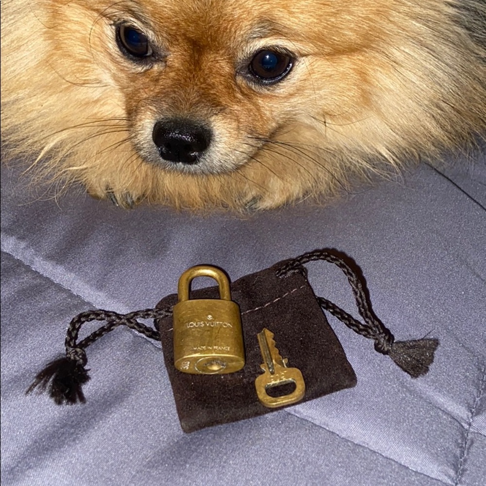 Louis Vuitton speedy 30 🌟sold out in stores🌟 - Picture 14 of 16
